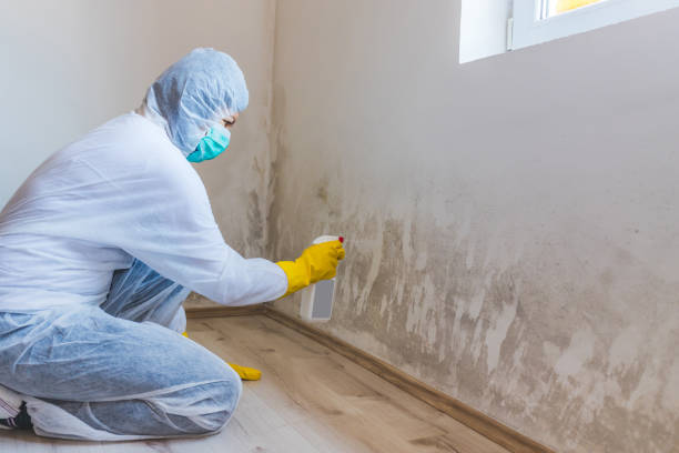 Commercial Mold Remediation assessment for commercial property in Converse